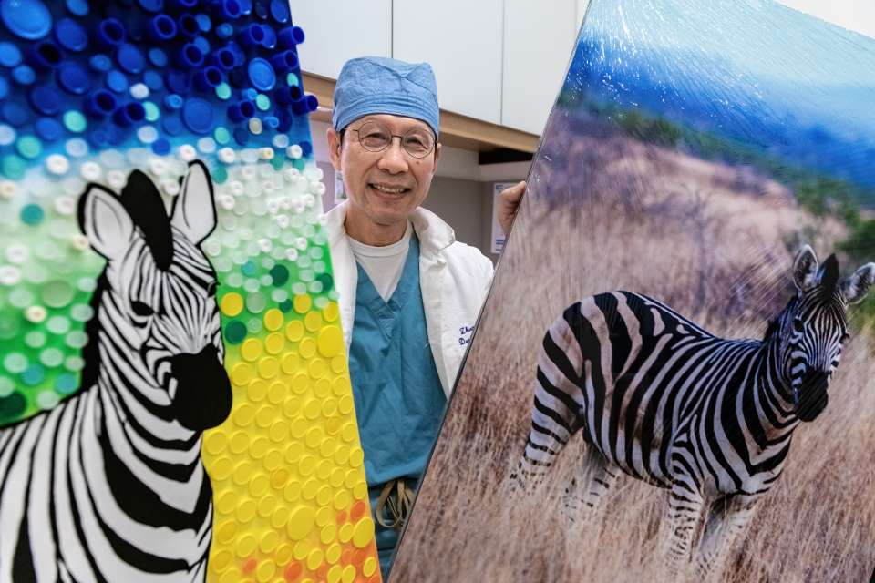 Dr. Zhuang T. Fang shows a photo he took of a zebra in a savanna alongside the medicine cap mosaic depiction of the image. (Photo by Joshua Sudock/UCLA Health)