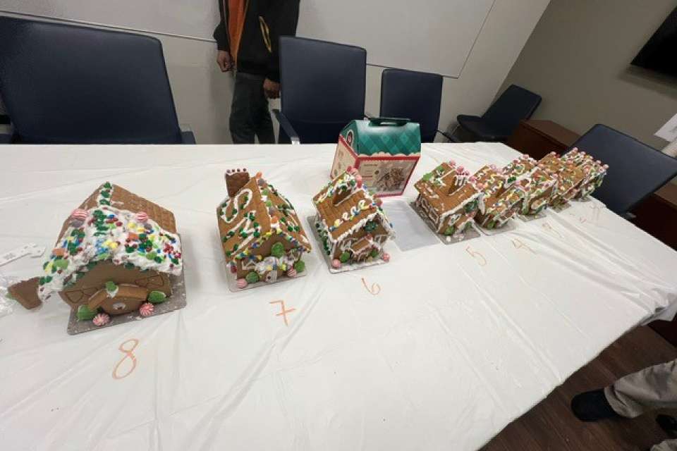 Gingerbread House Entries