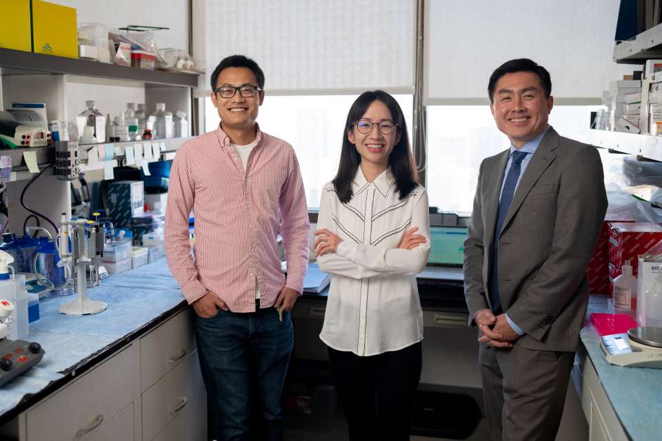 UCLA cancer reseacher Dr. Roger Lo and his lab team