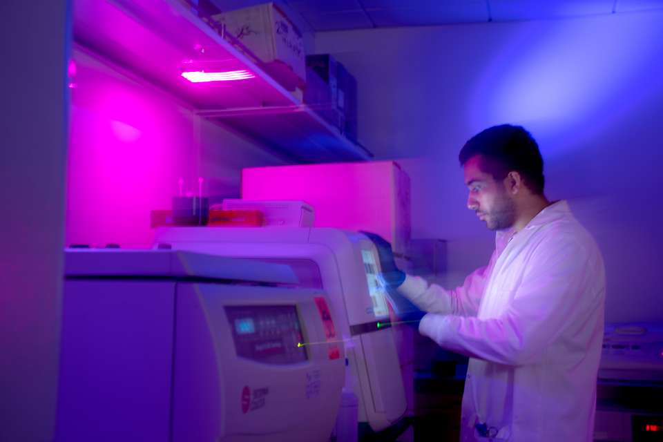 UCLA cancer researcher working in a lab