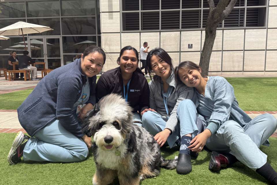 Four women in blue outfits sit on grass with a fluffy dog in front of a modern building.