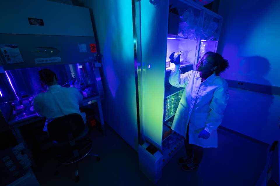 Young UCLA cancer researchers in lab