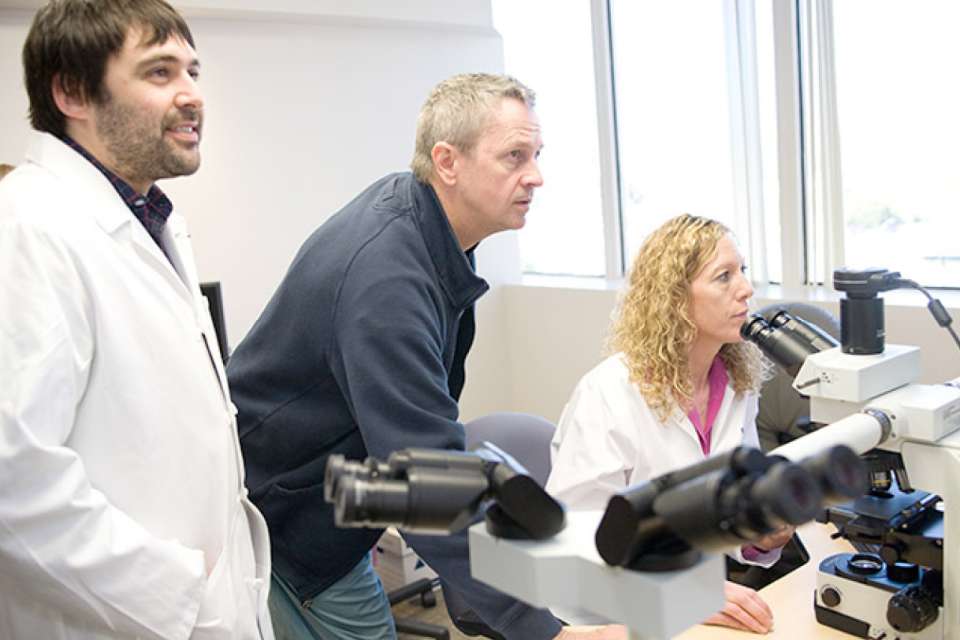 Doctors looking at microscope