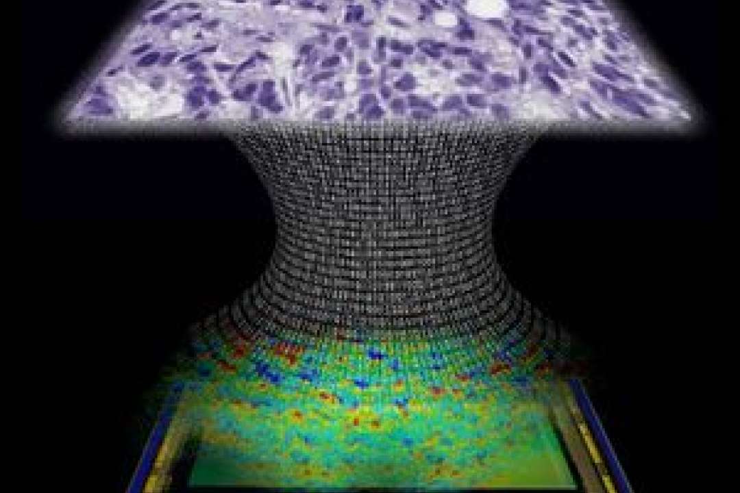 Lens-free microscope can detect cancer at the cellular level | UCLA Health