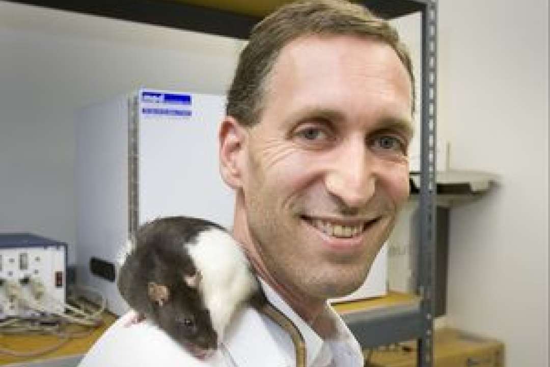 UCLA faculty voice: Rats ditch balanced diet to eat just like obese ...
