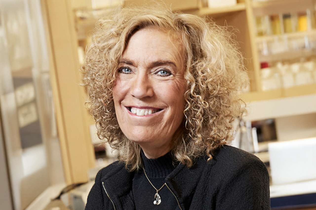 Elaine Fuchs, PhD