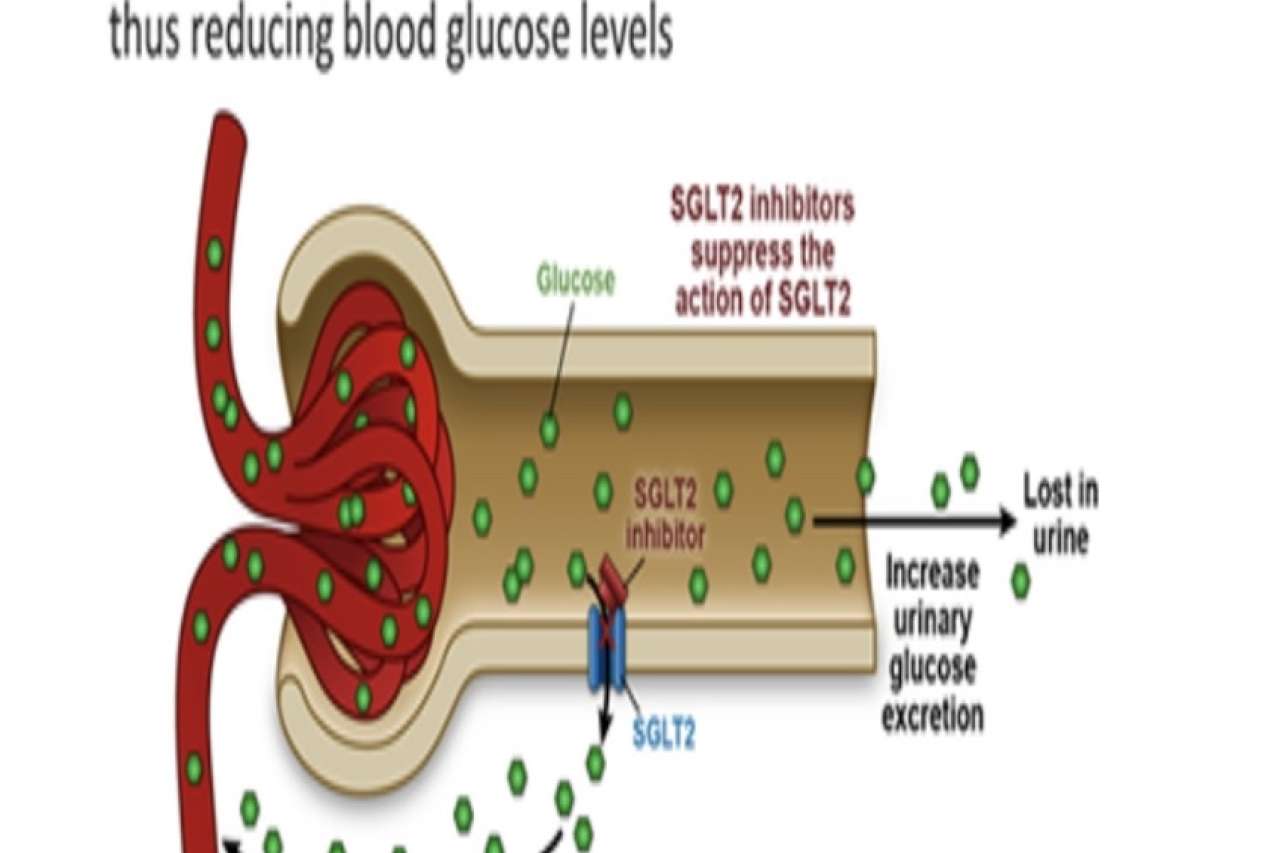 SGLT2 Inhibitors