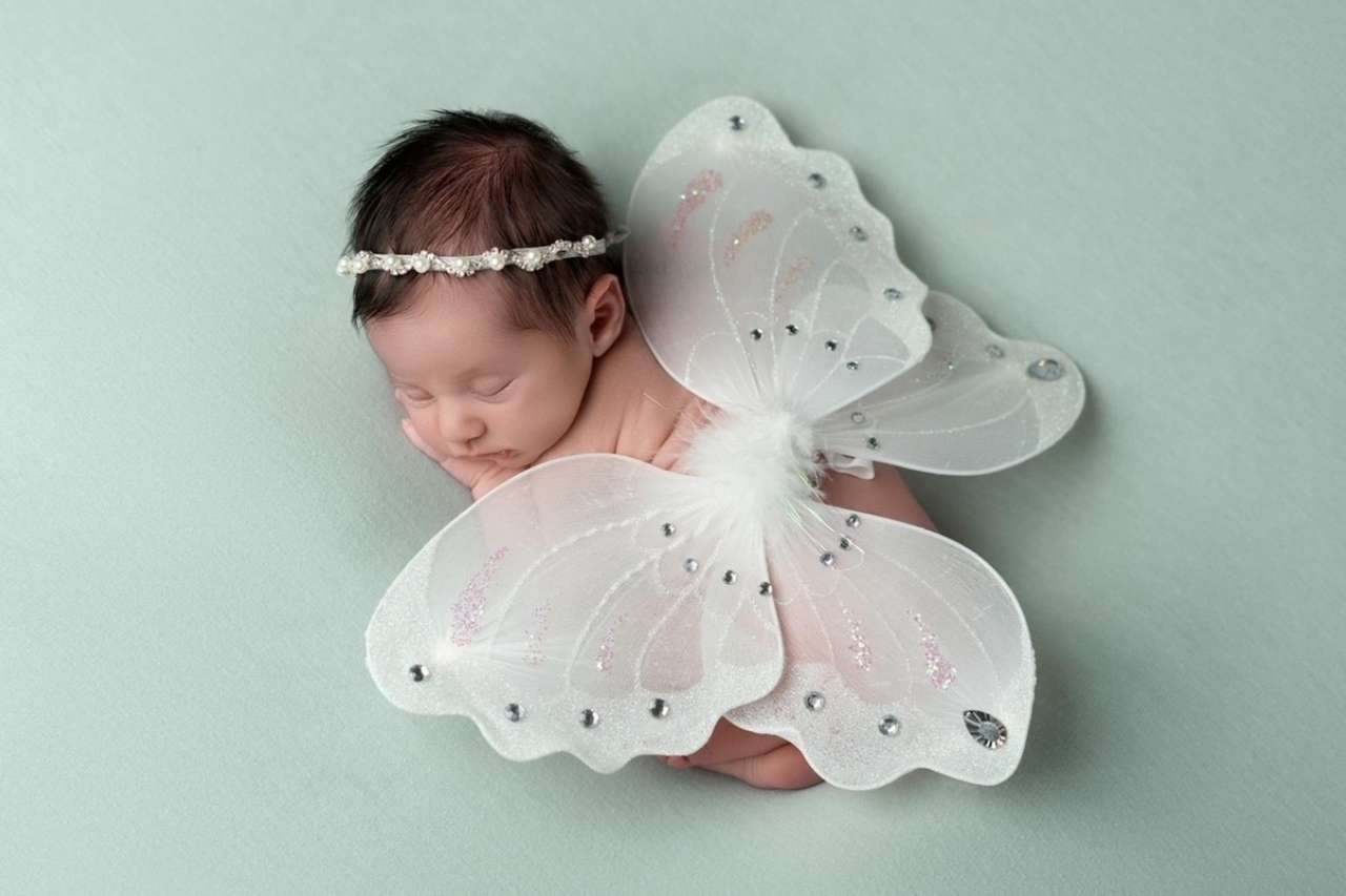 Baby James is draped in butterfly wings. The butterfly has been adopted as a symbol of the chromosomal Turner syndrome because of the similarity between the X in X chromosome and a butterfly's spread wings.