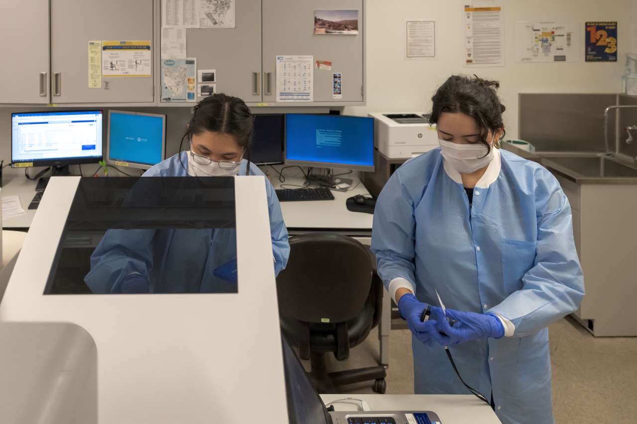 Lab assistants working with test tubes