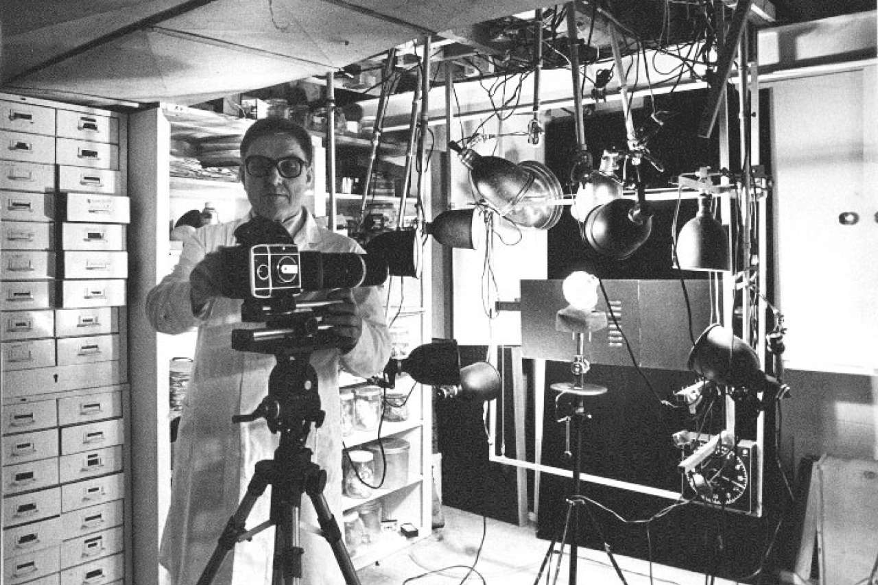 Dr. Wallace A. McAlpine