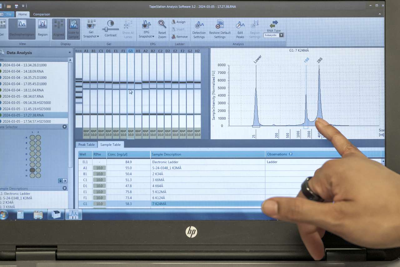 Reyna Mathai's hand pointing at a monitor explaining how RNA quality is evaluated using 4200 TapeStation system at the Technology Center for Genomics & Bioinformatics.