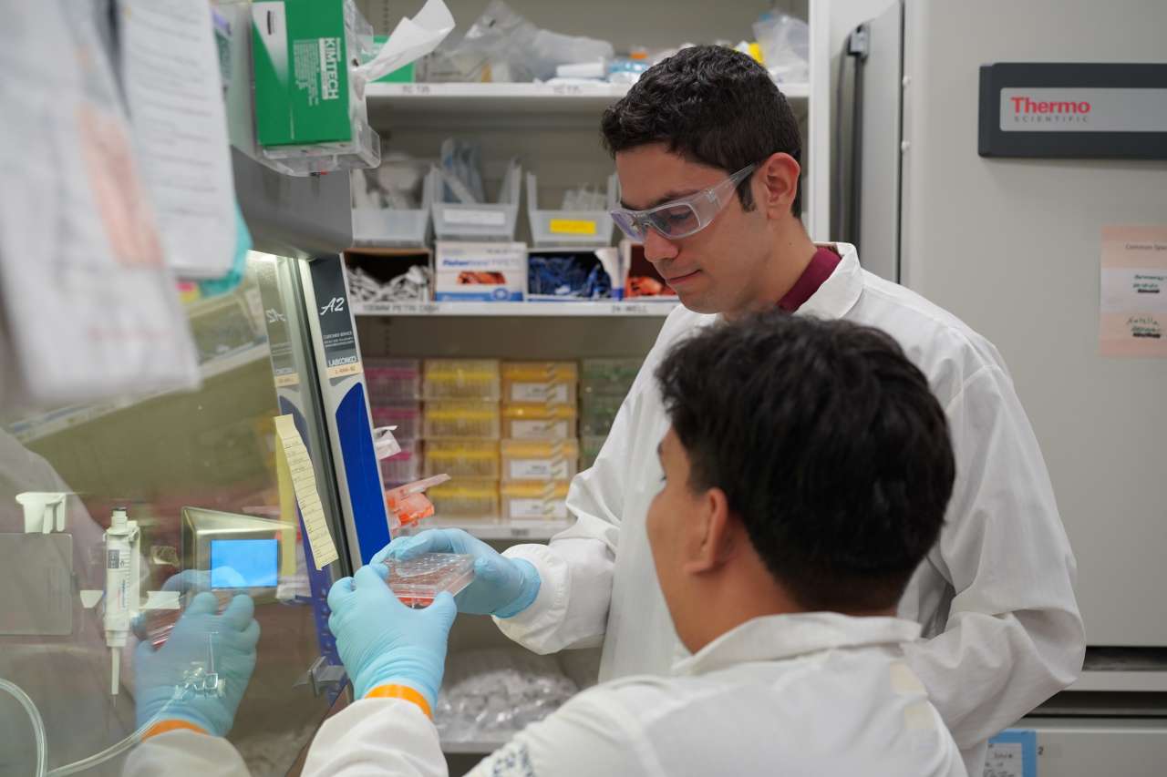 ucla bridges trainee cristian rodriguez in the lab with mentee passing along a cell dish
