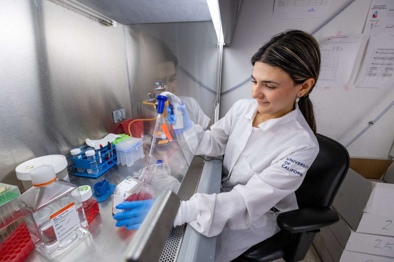 Laboratory technician conducting experiments with equipment and samples.