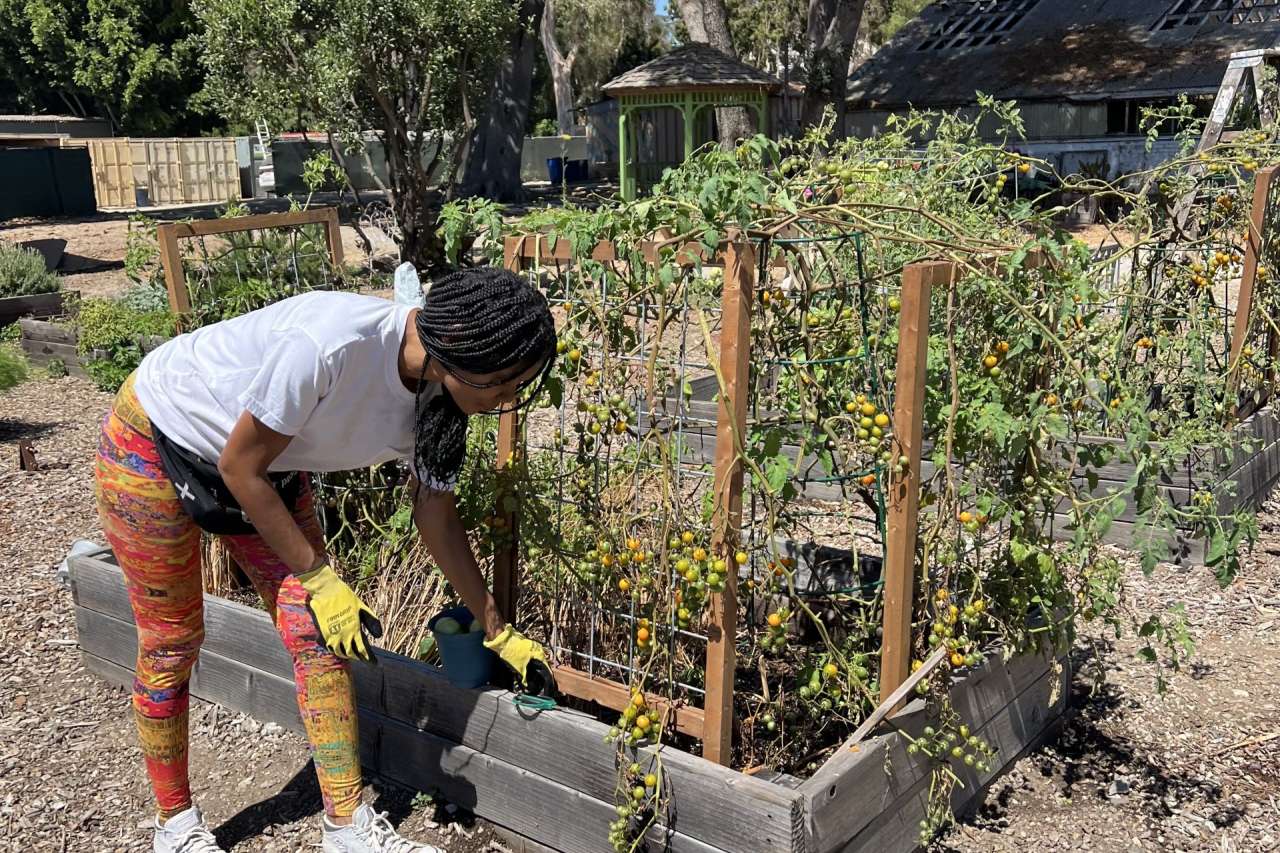 U.S. Air Force Veteran Cyntrea Cotton tends to the Veteran's Garden.