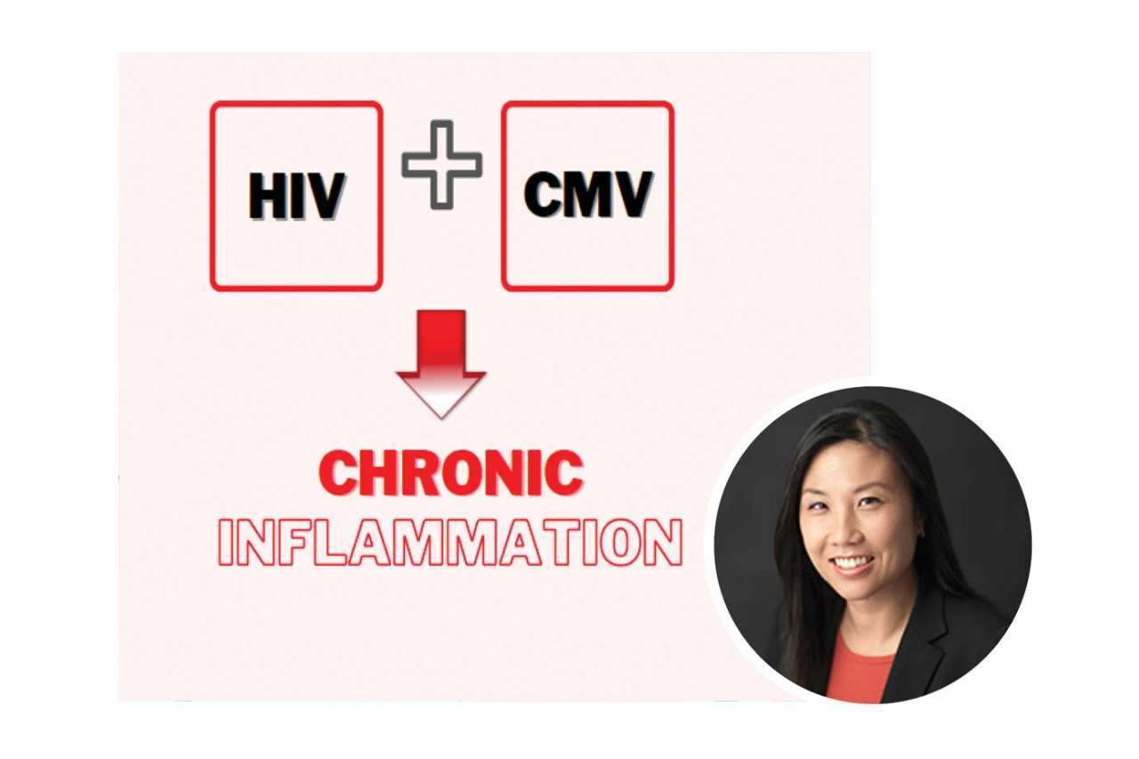 Graphic demonstrating "HIV + CMV = Chronic Inflammation"