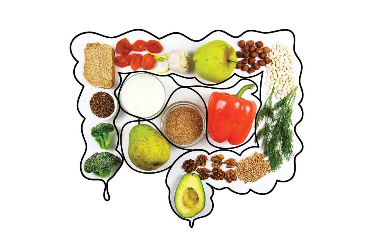Gut illustration filled with healthy nutrition
