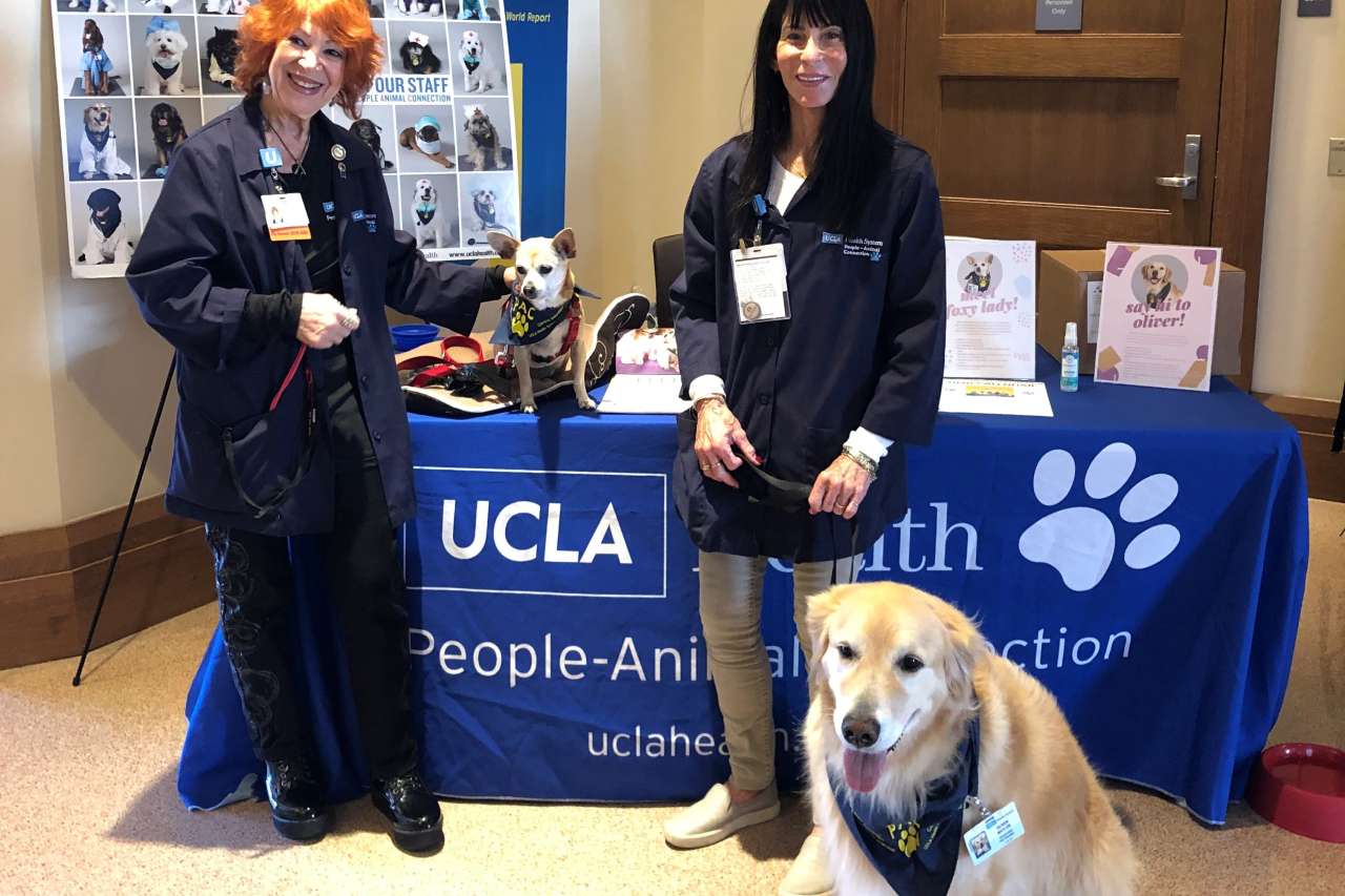 UCLA Santa Monica Medical Center pet visit station