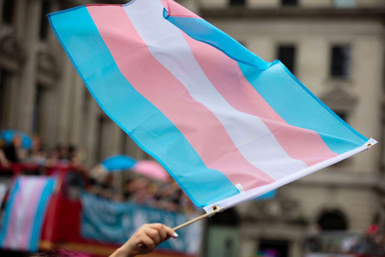 Trans flag being waved