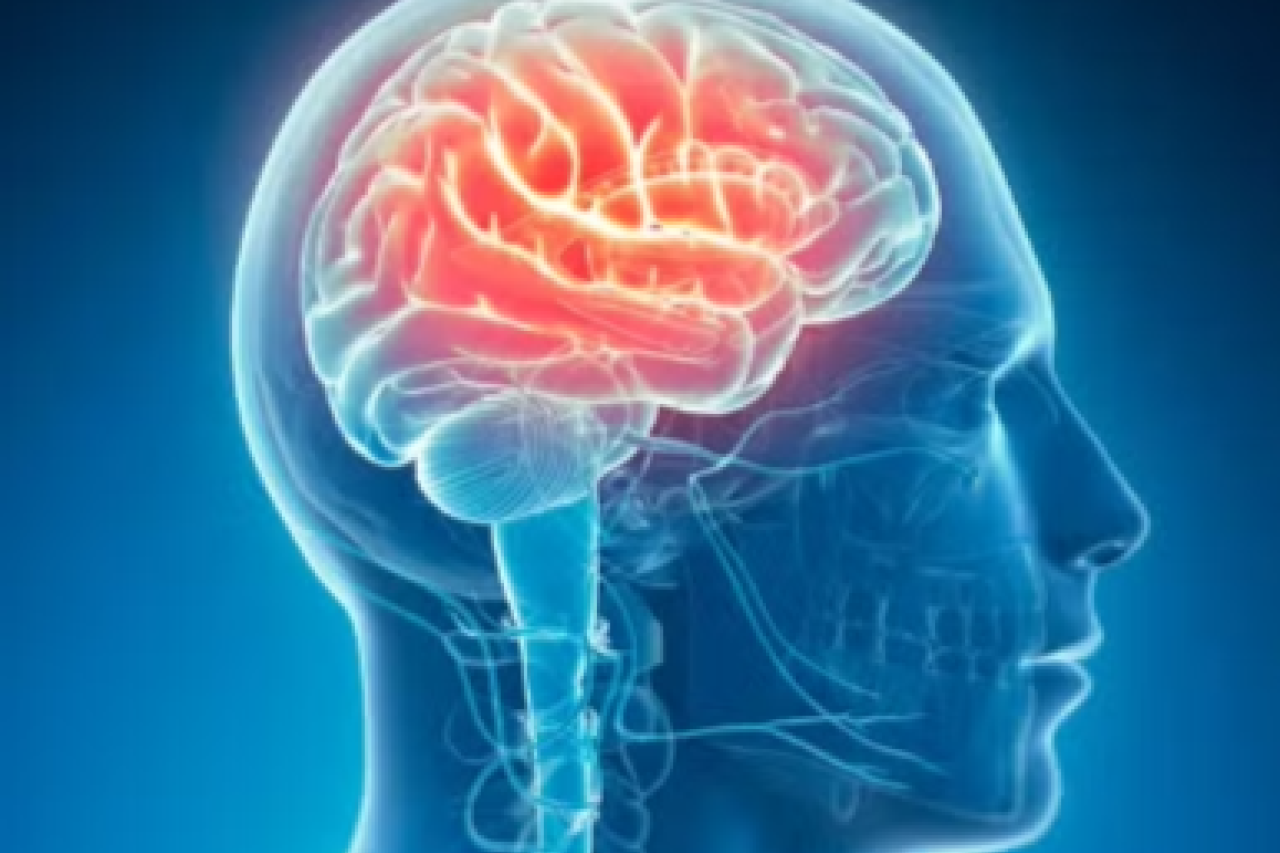 Illustration of a human brain highlighting areas in red against a dark background.