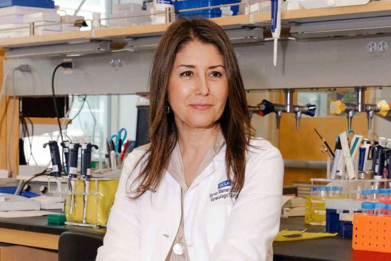 Dr. Sanaz Memarzadeh