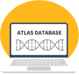 Atlas database with computer