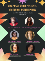 Black Maternal Health Panel Flyer
