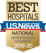 Best Hospitals GI 2019 Badge