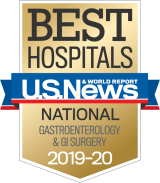 Best Hospitals GI 2019 Badge