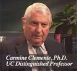 Carmine Clemente