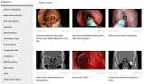 Sinus Videos Screenshot