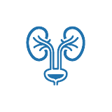 Organ Transplant Icon