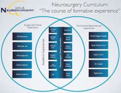 100 Curriculum Diagram