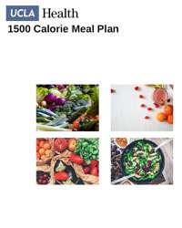 Bariatrics 1500 Calorie Meal Plan