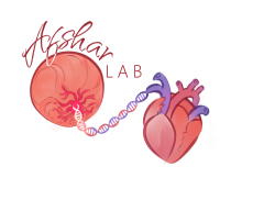 Afshar Lab Logo