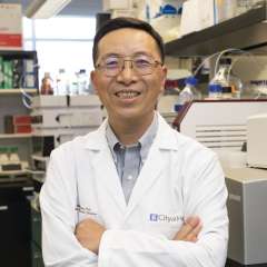 Wendong Huang, PhD