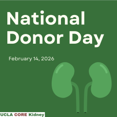 CORE Kidney Kidney Donation Flyer