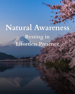 Mountain with cherry blossoms reflected in a calm lakeside scene