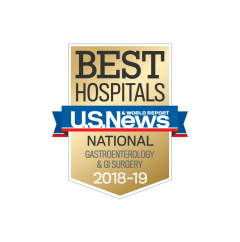 Best Hospitals GI 2018 Badge