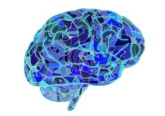 Stock image of abstract brain art