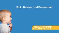 Brain, Behavior, and Development presentation