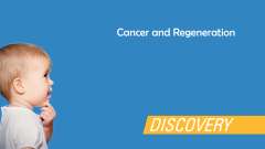 Cancer and Regeneration video