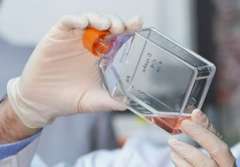 A researcher holding a lab vial containing orange liquid.
