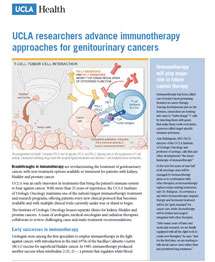 UCLA researchers advance immunotherapy approaches for genitourinary cancers