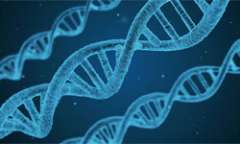 DNA
