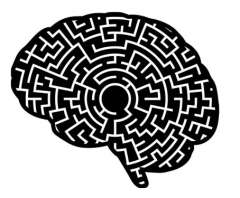 Brain made into a maze