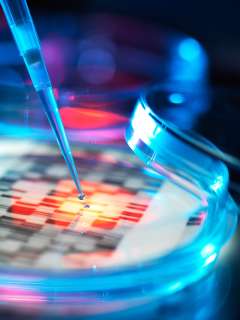 Genetic research process - collecting biological samples