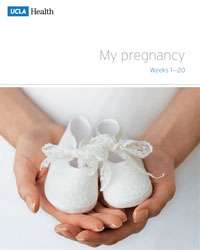 My Pregnancy Weeks 1-20 Thumbnail
