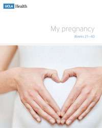 My Pregnancy Weeks 21-40 Thumbnail