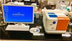Protein Simple Wes - Automated Western Immunoblot system