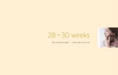 Second Trimester Weeks 28-30